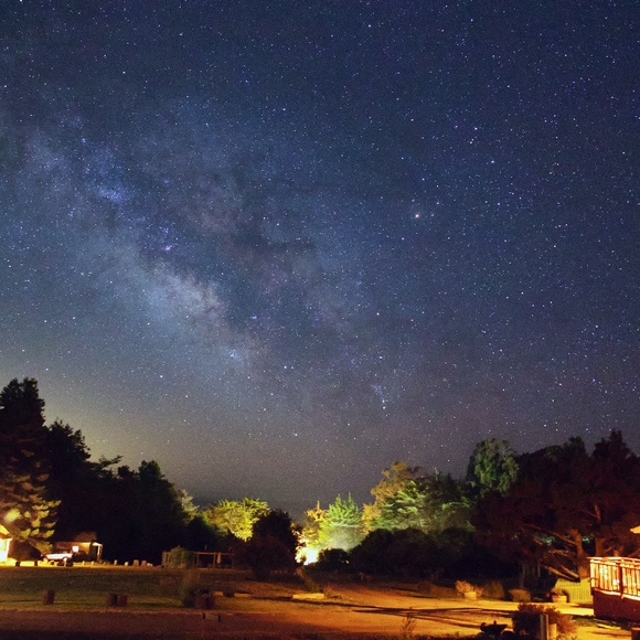 Meet your Posher, Mellissa - Picture 5 of 8